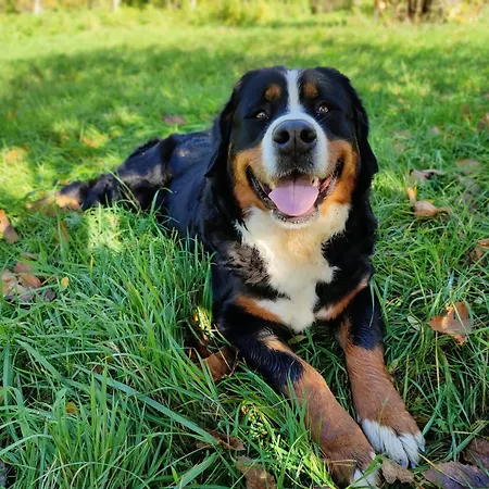 Semesterbostad Romantic 