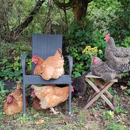 Dovolenkový dom Romantic 